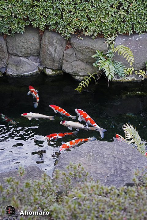 写真00