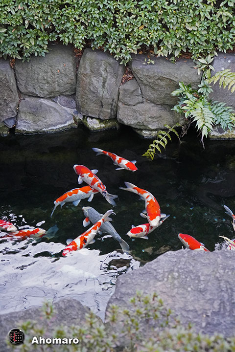 写真00