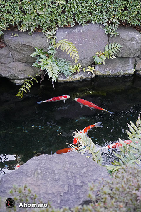 写真00