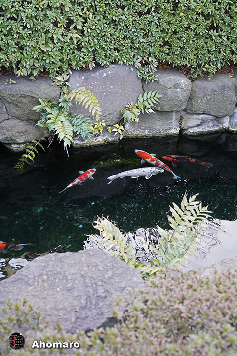 写真00
