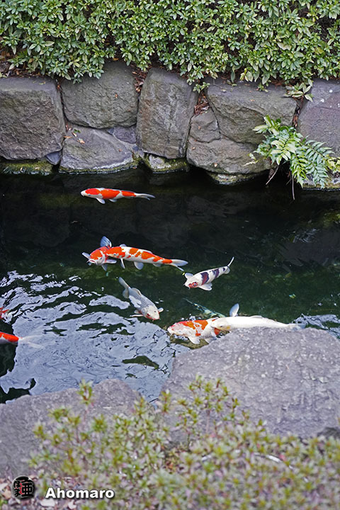 写真00