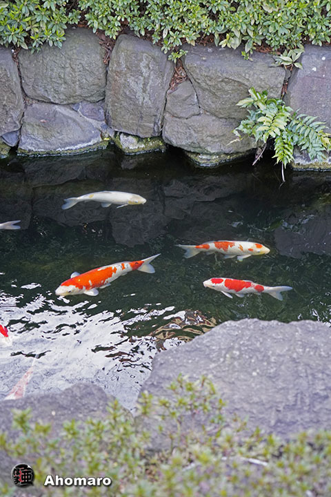 写真00