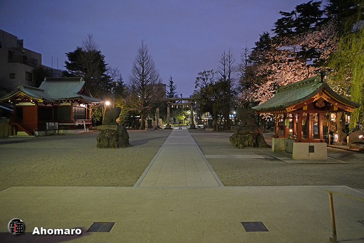 写真00