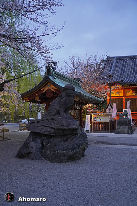 写真00