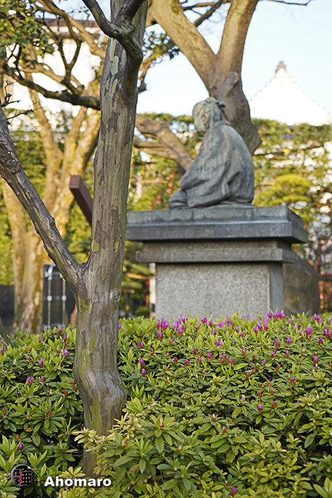 写真00