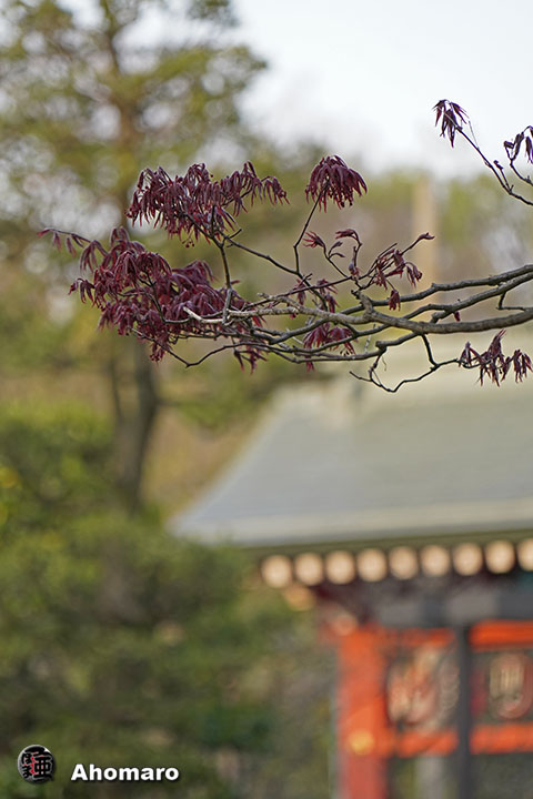 写真00