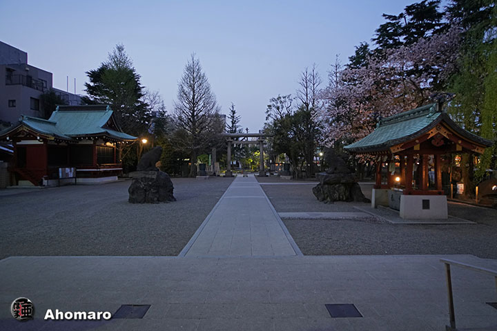 写真00