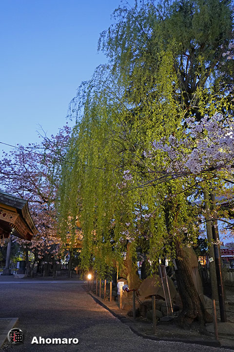 写真00