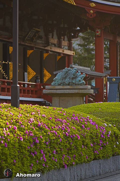 写真00