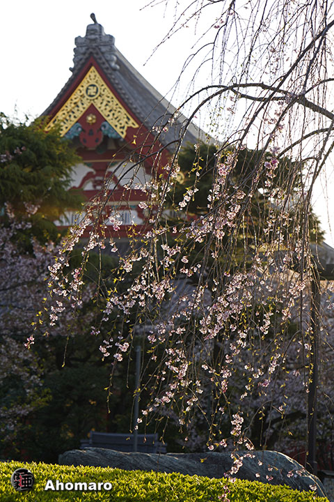写真00