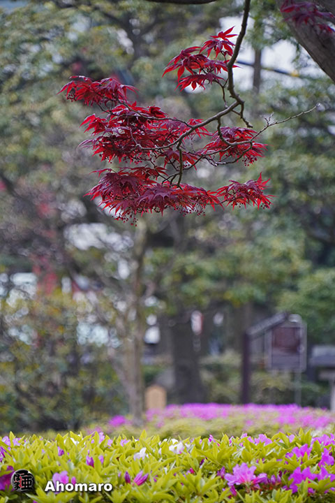 写真00
