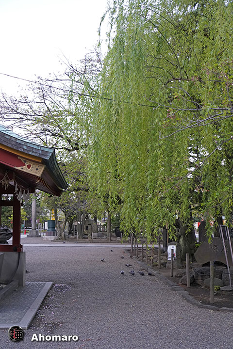 写真00