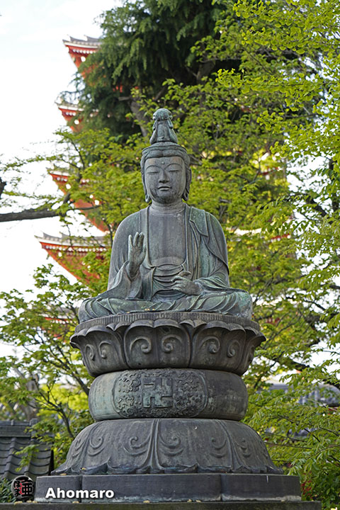 写真00