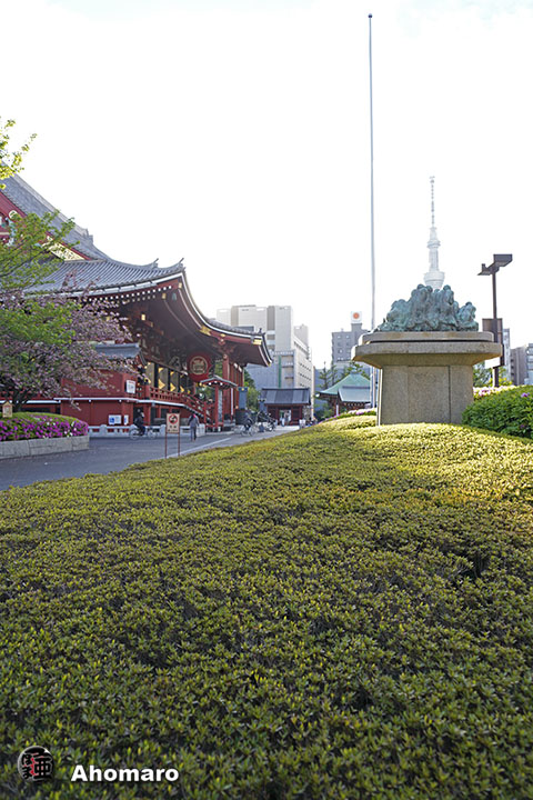 写真00