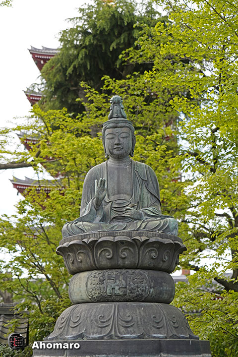 写真00
