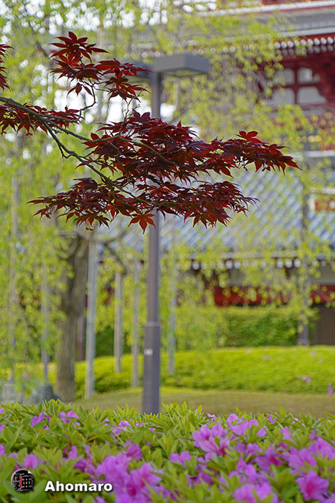 写真00