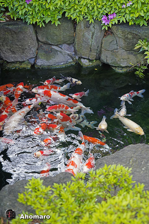 写真00
