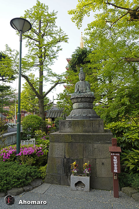 写真00