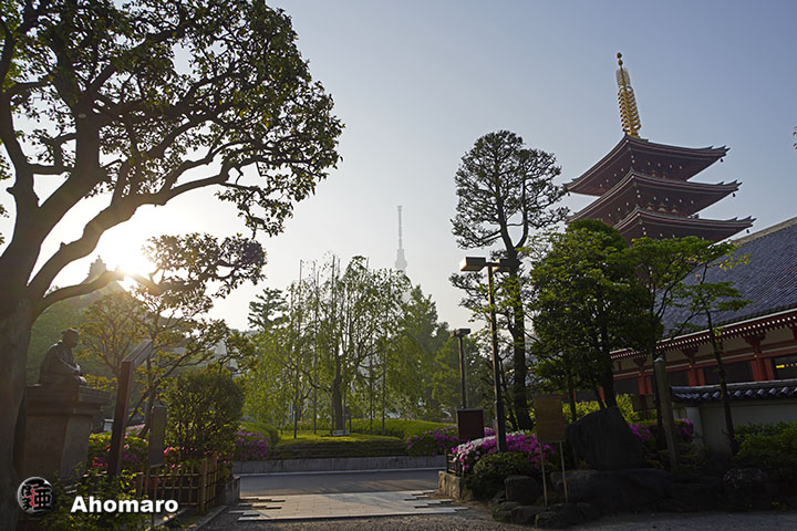 写真00