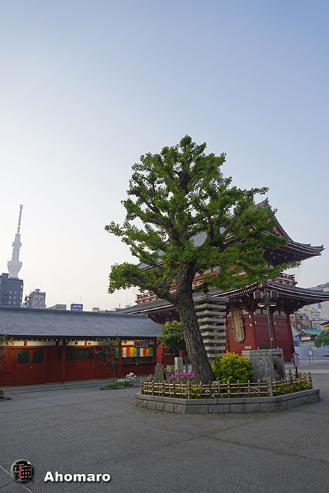 写真00