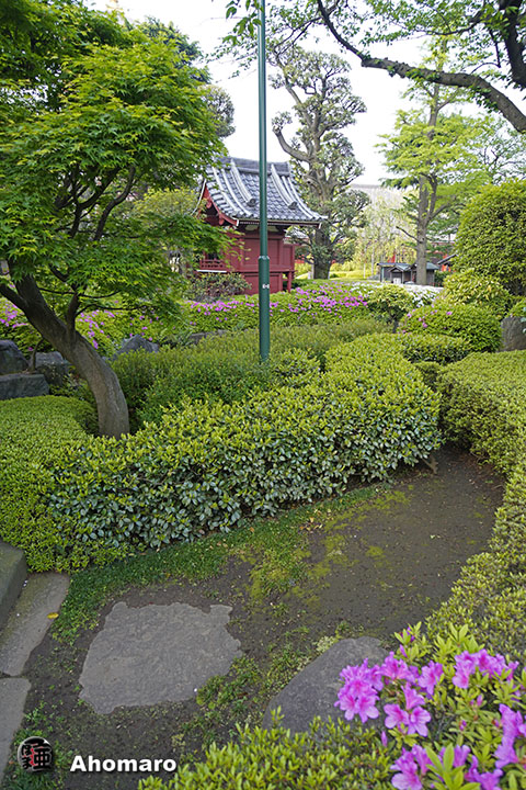 写真00
