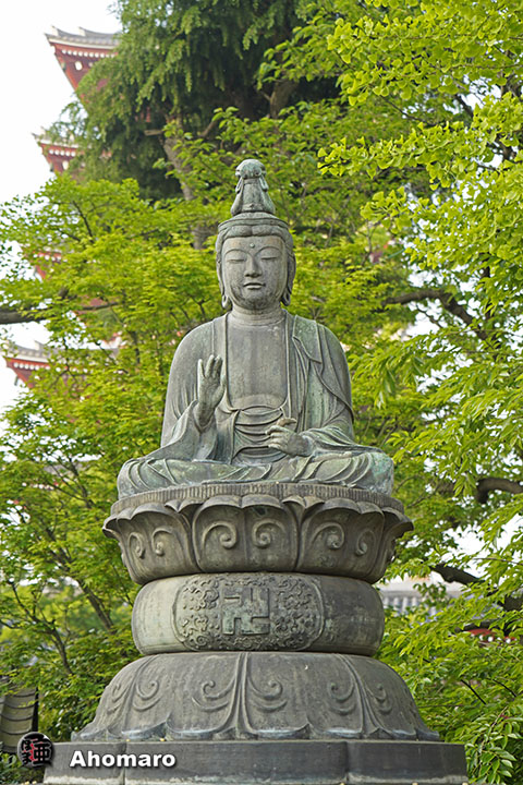 写真00