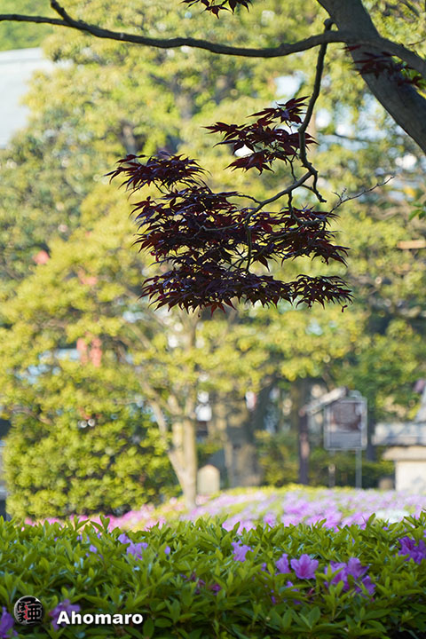 写真00
