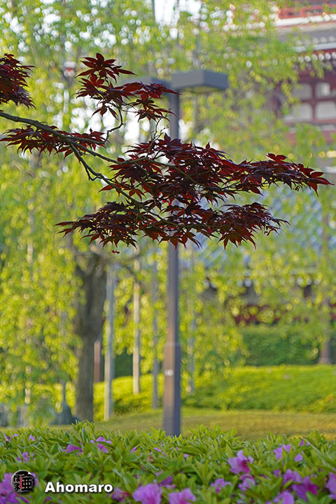 写真00