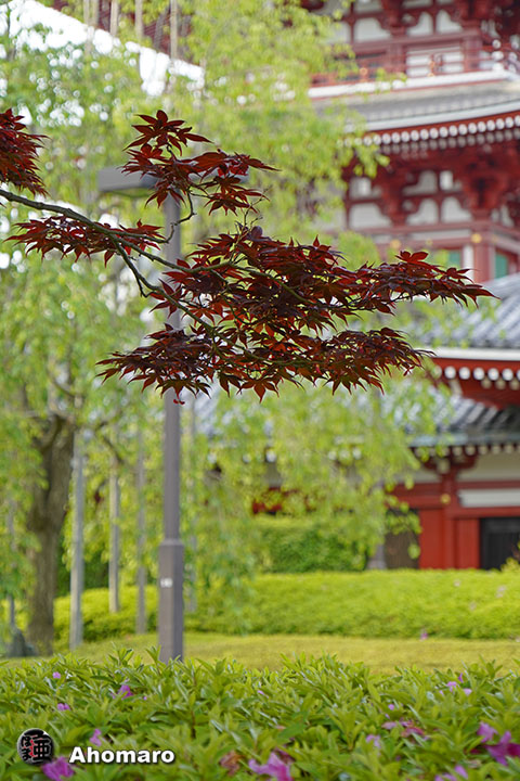 写真00