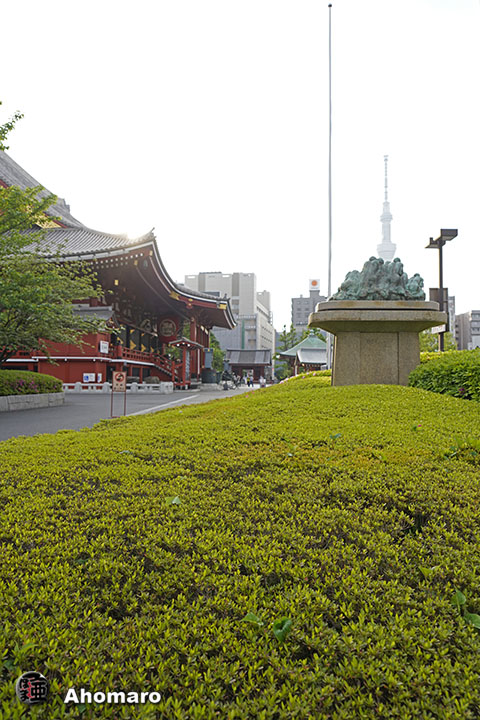 写真00