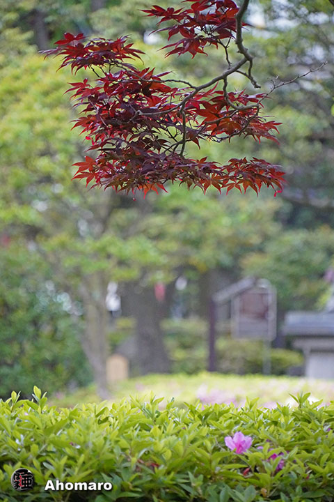 写真00