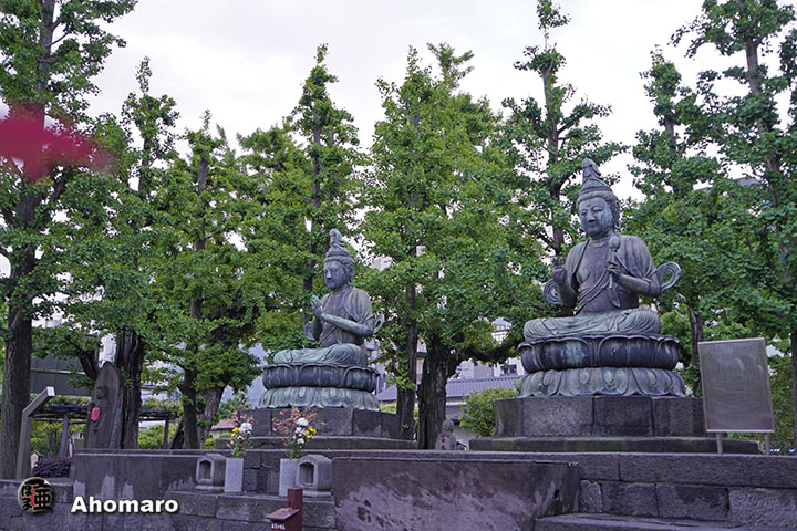 写真00