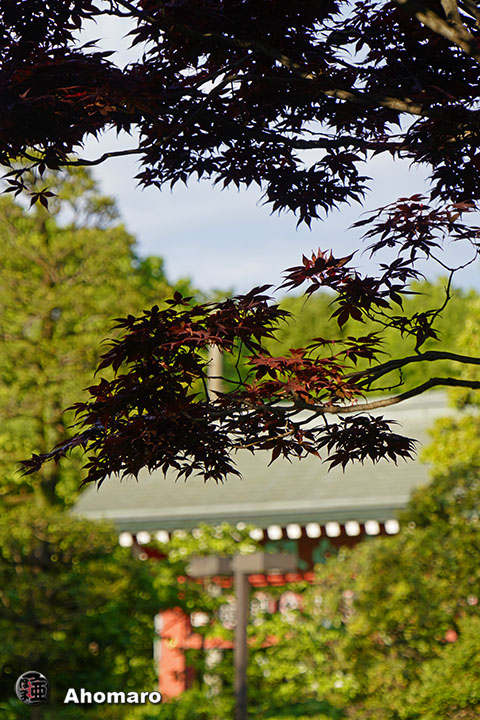 写真00