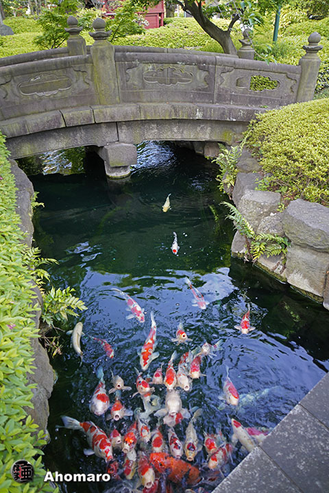 写真00