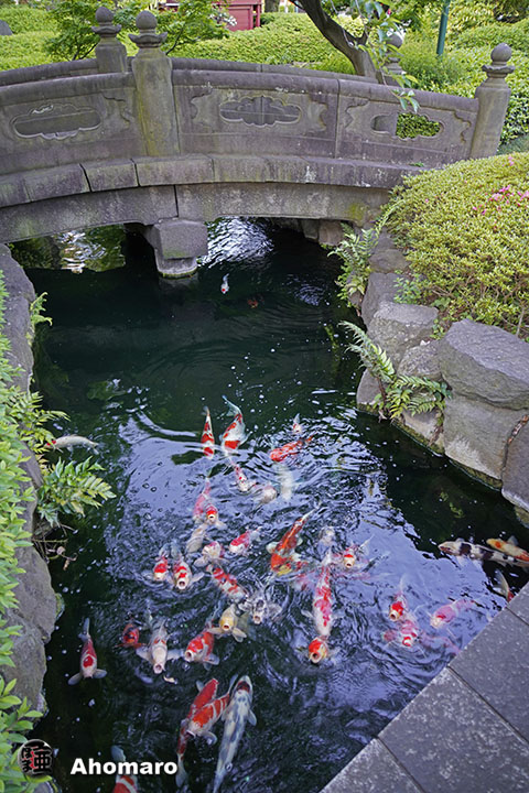写真00