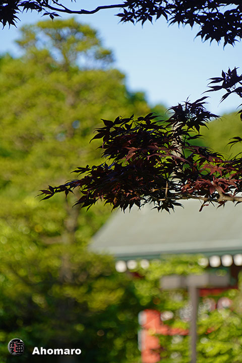 写真00
