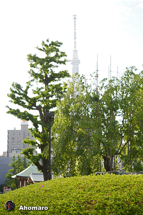 写真00
