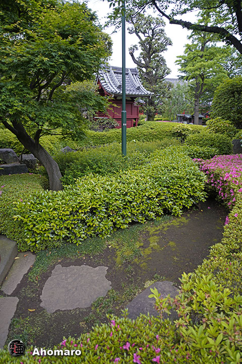 写真00
