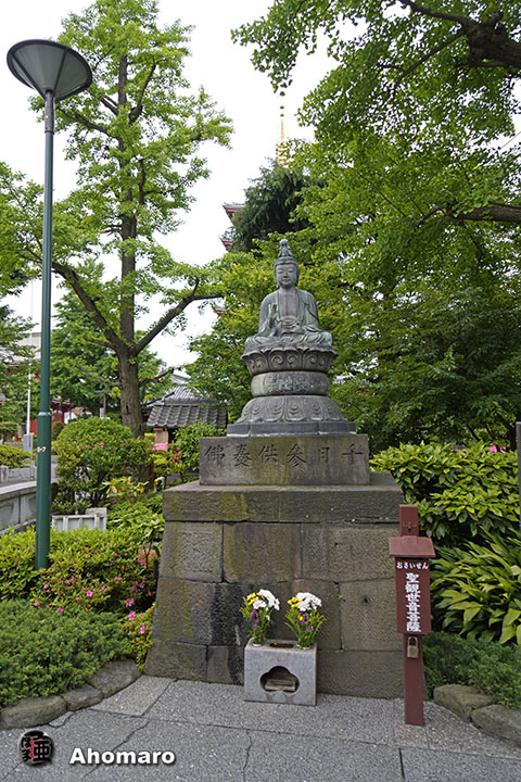 写真00