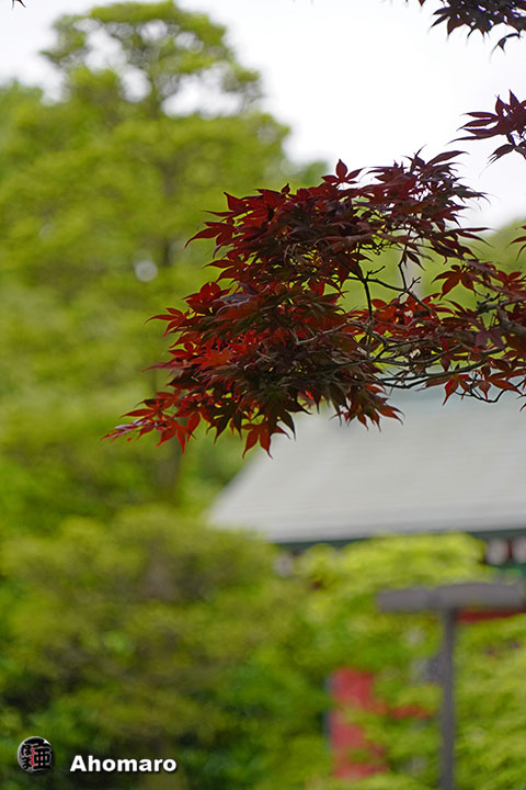 写真00