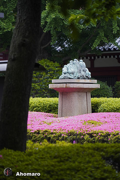 写真00