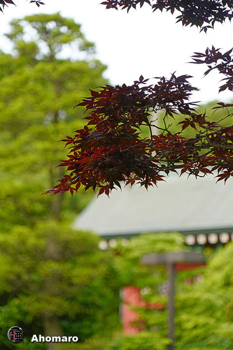 写真00