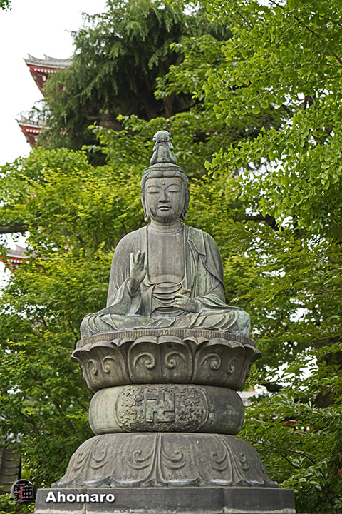 写真00