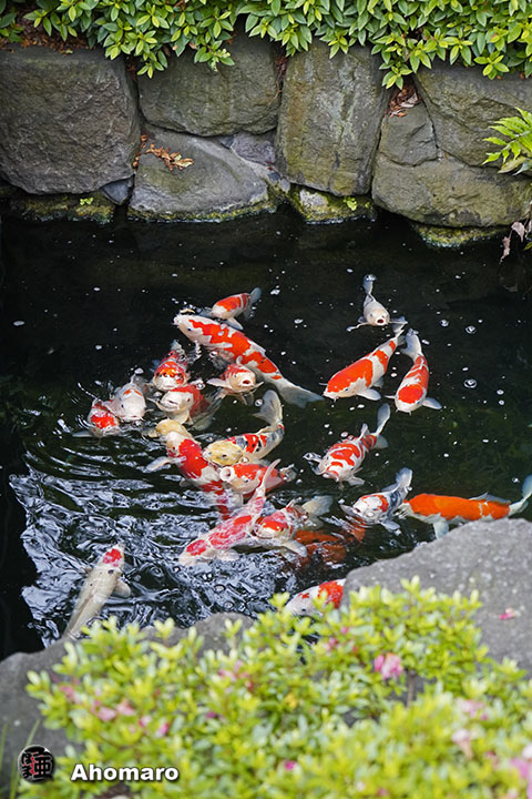 写真00