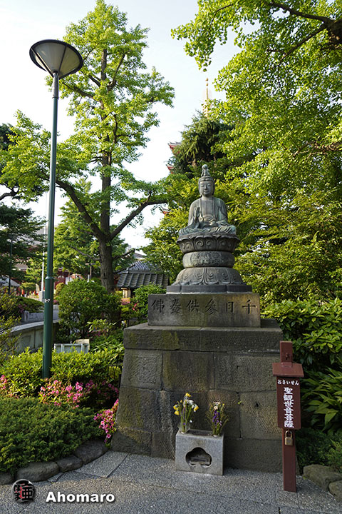 写真00