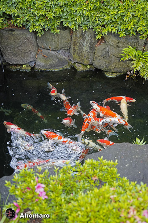 写真00