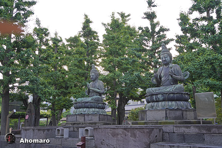 写真00