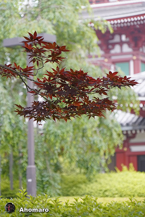 写真00