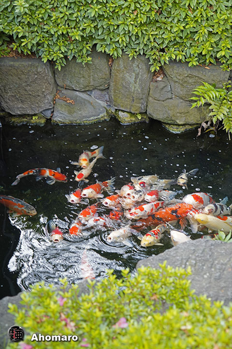 写真00
