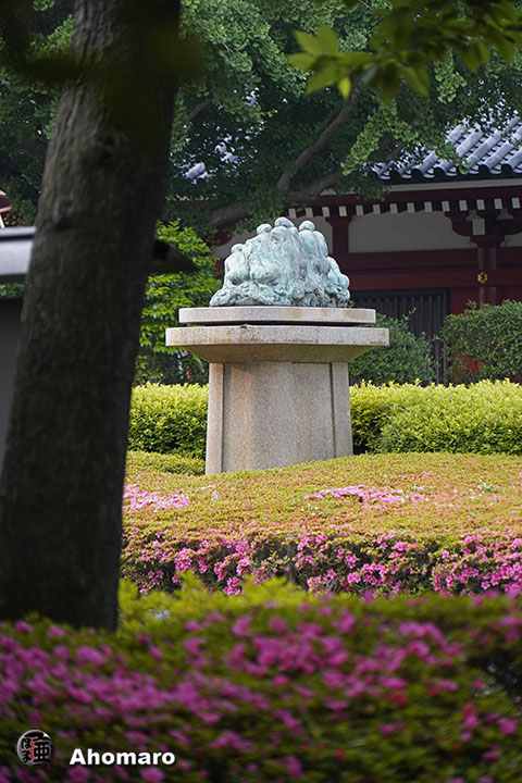 写真00